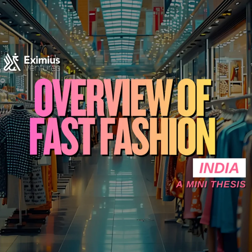 Fast Fashion in India_ Mini Thesis